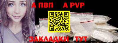 PSILOCYBIN Гатчина
