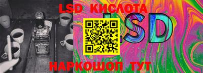 PSILOCYBIN Гатчина