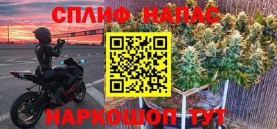 PSILOCYBIN Гатчина