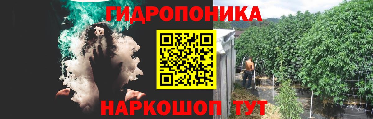 Бошки Шишки план  Вход с VPN  Борисоглебск  Конопля MAZAR  Бошки марихуана индика  Конопля OG Kush 